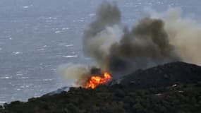 Incendie près de Banyuls-sur-Mer, dans les Pyérénées-Orientales, le 16 avril 2023