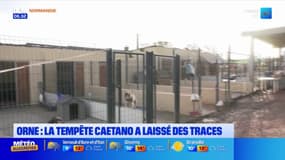 Orne : la tempête Caetano détruit partiellement un refuge pour animaux 