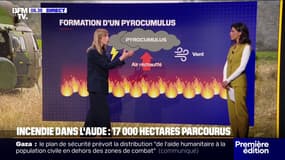 Feu dans l'Aude: c'est quoi le pyrocumulus, ce nuage qui inquiète, aperçu au-dessus de l'incendie ?