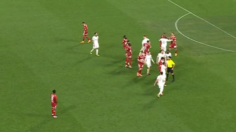 Début de bagarre entre joueurs de Lyon et Brest, 14 avril 2024