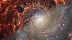 La galaxie NGC 628. Photomontage montrant les images du télescope James Webb à gauche, et celles du télescope Hubble à droite. L'utilisation de l'infrarouge par Webb explique la différence de couleur