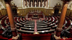 Le Sénat français a adopté le projet de loi qui permet de réprimer l'entraînement militaire à l'étranger de personnes soupçonnées de préparer des attentats. /Photo d'archives/REUTERS/Charles Platiau