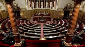 Le Sénat français a adopté le projet de loi qui permet de réprimer l'entraînement militaire à l'étranger de personnes soupçonnées de préparer des attentats. /Photo d'archives/REUTERS/Charles Platiau