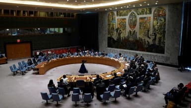 Le Conseil de sécurité de l'ONU (Photo d'illustration)
