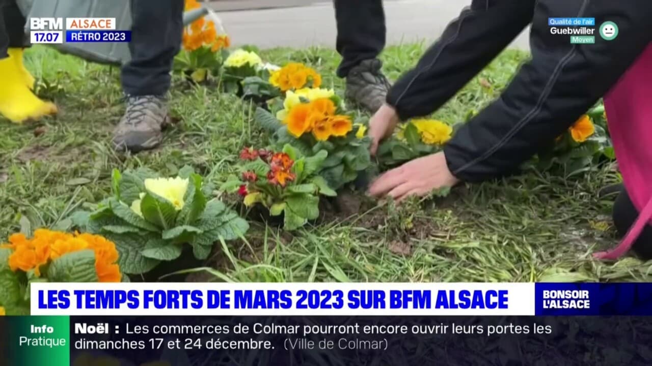 R Tro Retour Sur Les Temps Forts Du Mois De Mars En Alsace