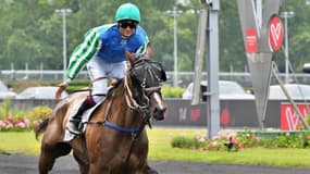 Flèche Bourbon est la leader de sa génération au trot monté
