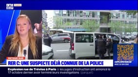 Flagrants Délits: le profil de la femme menaçante maîtrisée par la police dans une gare du RER C