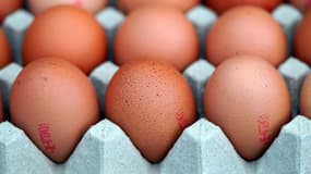 Des oeufs (photo d'illustration).