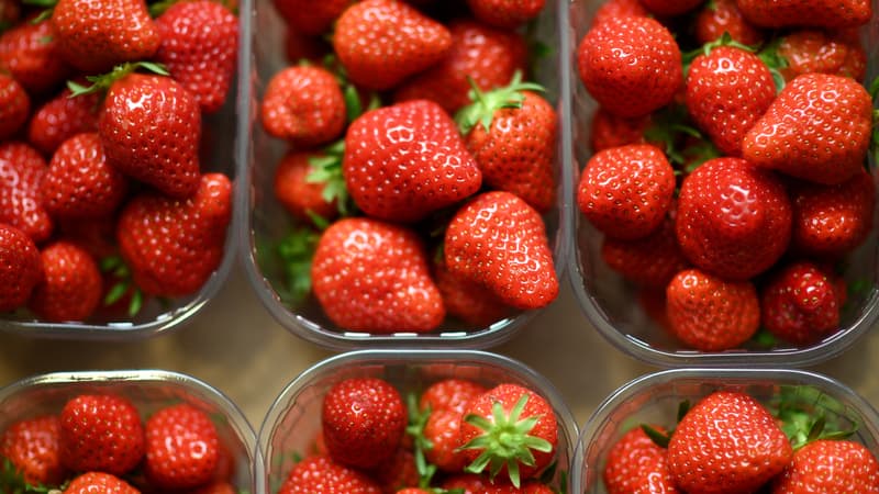 Les fraises françaises se font rares en rayon (et c'est la faute de la météo)