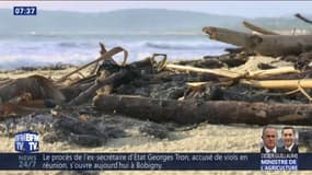 Dans le Var, 37 plages sont désormais polluées par des boulettes de pétrole (et fermées au public)