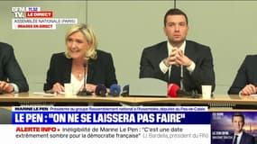 Inéligibilité: "Si l'on ne vote pas librement, à ce moment-là, on n'est plus véritablement dans une démocratie", déclare Marine Le Pen