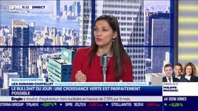 Bullshitomètre : "la croissance verte n'est pas possible"  