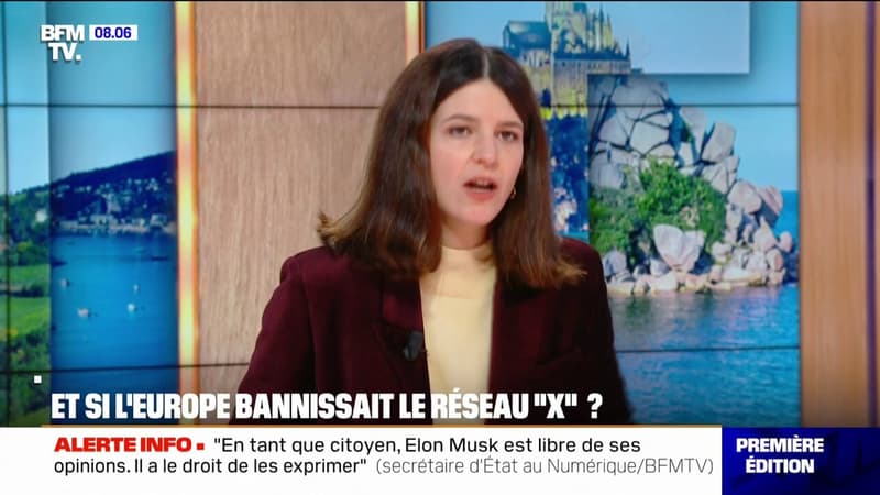 Ingérences d'Elon Musk: 