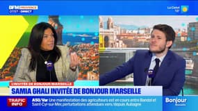 Le maire de Marseille doit-il être à la tête de la métropole ? "Je ne suis pas pour" (Ghali)