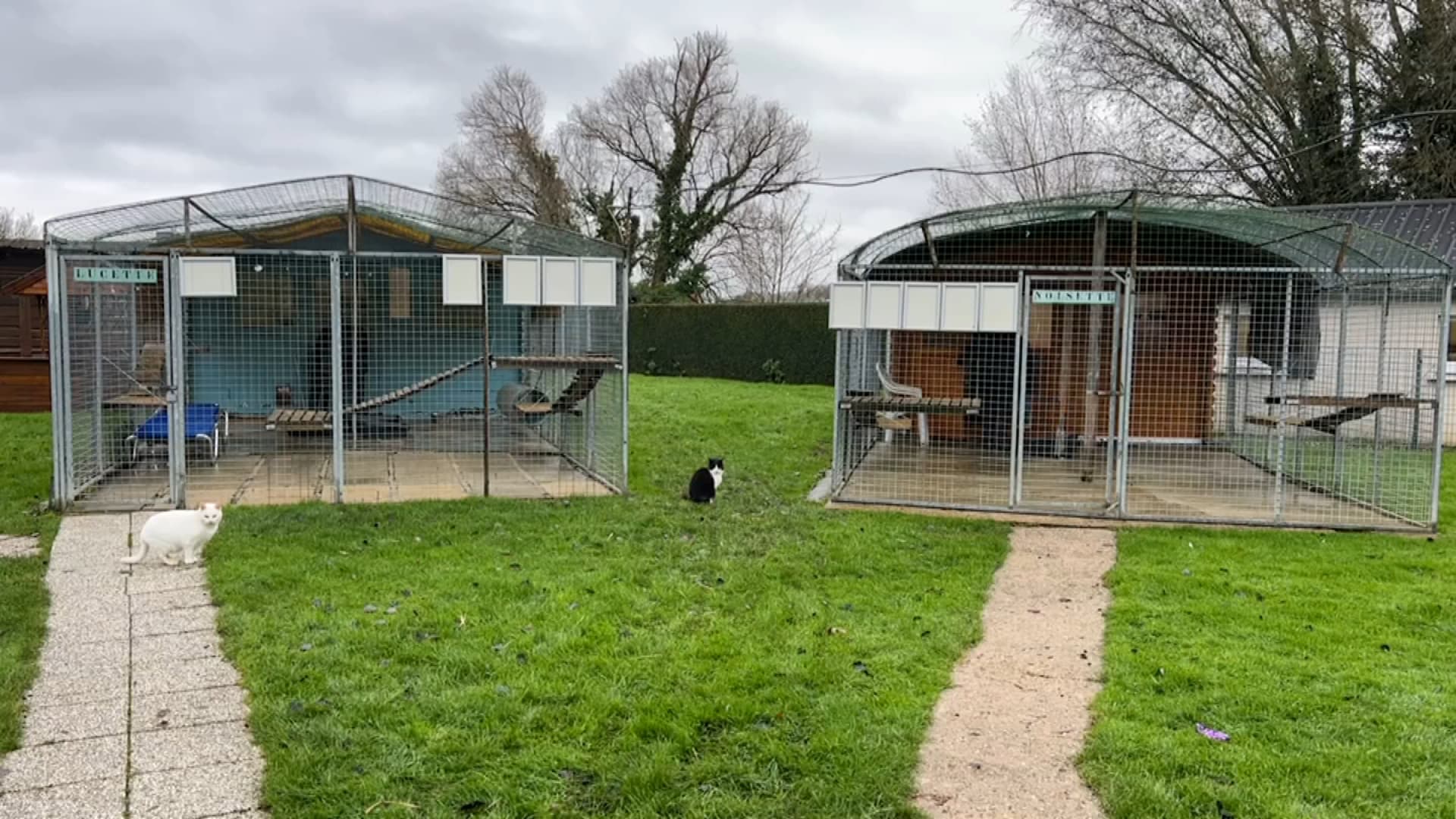 PasdeCalais après les inondations, le refuge de SaintOmer retrouve
