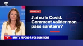Story 8 : BFMTV répond à vos questions - 14/07