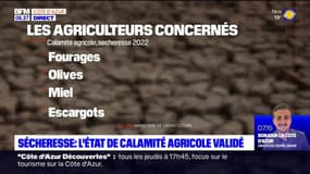 Alpes-Maritimes: la sécheresse de 2022 reconnue comme calamité agricole