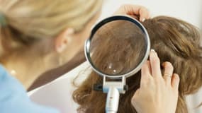 Image d'illustration - une personne cherchant des poux dans des cheveux