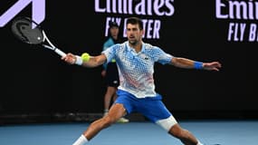 N. Djokovic