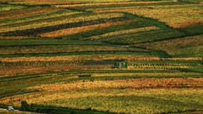 Paysage de Champagne, le 25 octobre 2019