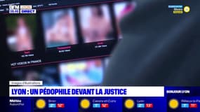  Lyon: un pédophile jugé dans plusieurs affaires 