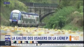 Retards, suppressions de trains... la galère des usagers de la ligne P du Transilien