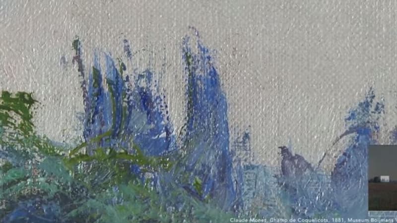 Zoom dans le tableau "Champ de coquelicots" de Claude Monet. Zoom dans le tableau "Champ de coquelicots" de Claude Monet.