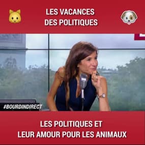 Les politiques fous des animaux 