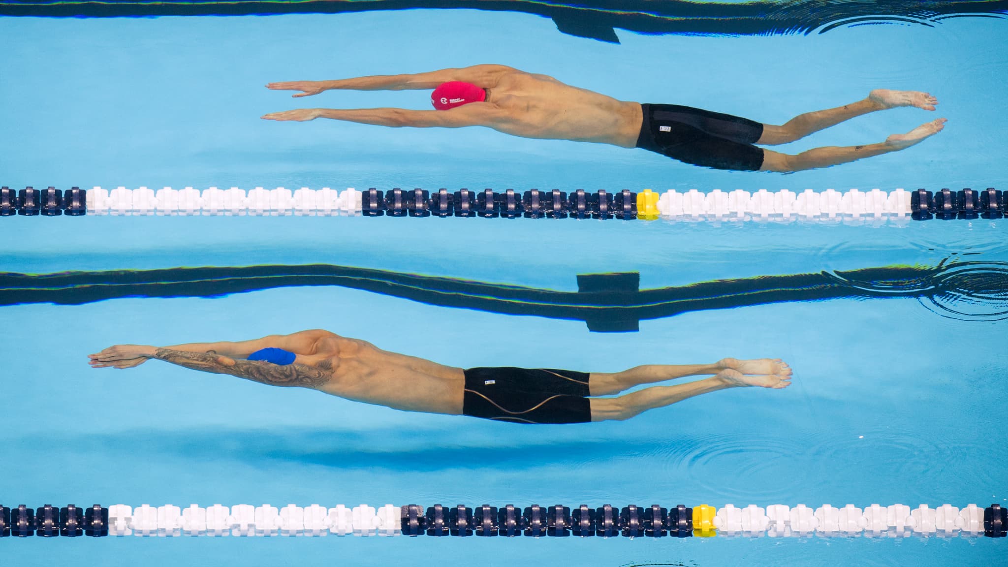 Caeleb Dressel (premier plan) face à Florent Manaudou lors d'une coulée au départ en finale de l'ISL en décembre 2019