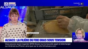 En Alsace, la filière du foie gras est sous tension à l'approche de Noël
