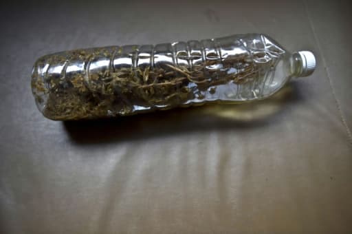 Une bouteille remplie d'alcool où macère de la marijuana à Mexico le 30 novembre 2015 Une bouteille remplie d'alcool où macère de la marijuana à Mexico le 30 novembre 2015
