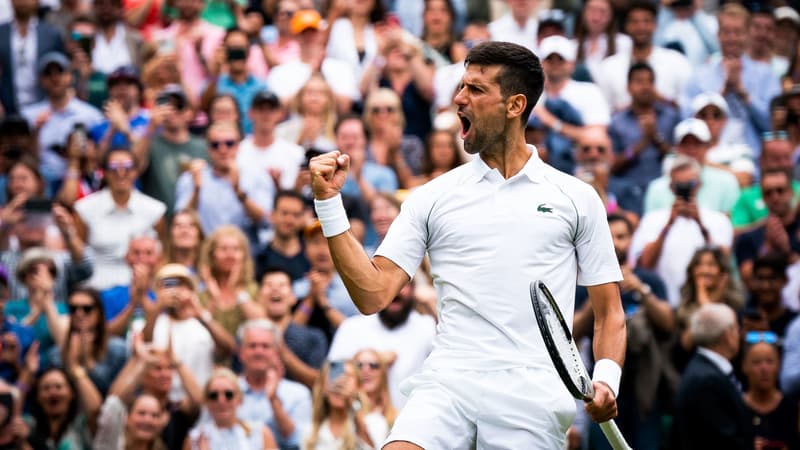 N. Djokovic