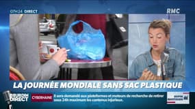 Dupin Quotidien : La journée mondiale sans sac plastique - 03/07