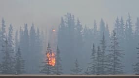 Un feu de forêt au Canada, le 23 juillet 2024.