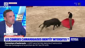 Corrida: un élu en charge de la tauromachie à Arles "craint" l'interdiction des courses camarguaises 