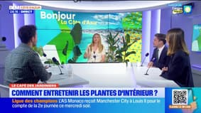 Le café des jardiniers avec Julien Gortina : comment entretenir les plantes d'intérieur ?