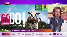 Demanche pirate le Face-à-Face - 21/02