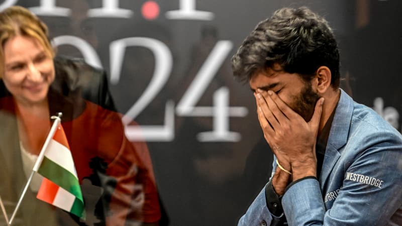 Echecs: l'incroyable victoire de Gukesh, désormais plus jeune champion du monde de l'histoire