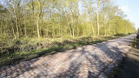"Déception, injustice, honte", les mots lourds des amis de Paris-Roubaix après le report