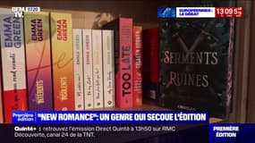 C'est quoi la "new romance", ce genre littéraire à fort succès en France?