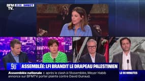 Assemblée : LFI brandit le drapeau palestinien - 28/05