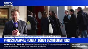 Procès en appel de Christophe Ruggia: les réquisitions ont débuté 
