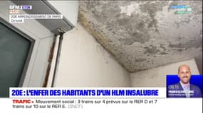 Paris: l'enfer des habitants d'un HLM insalubre