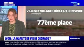 Lyon: la qualité de vie est-elle en train de se dégrader?