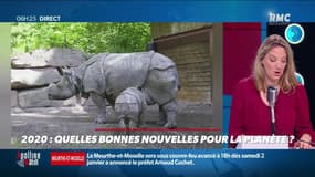 « Allô Marie ? » : Quelles bonnes nouvelles pour la planète en 2020 ? - 31/12