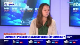 Planète Locale du lundi 11 mars - Comment préserver la biodiversité lyonnaise ? 