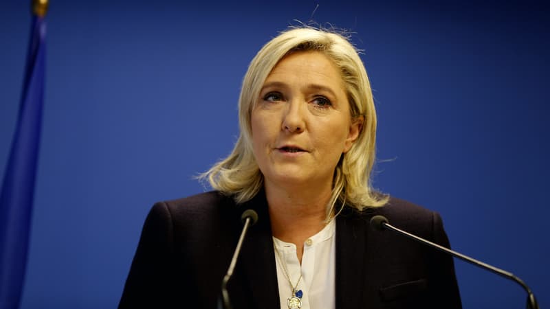 Marine Le Pen, le 14 novembre 2015, à Nanterre. 