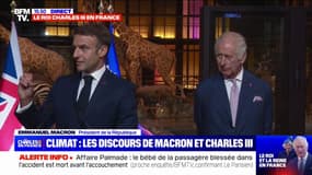 Emmanuel Macron: "On a besoin de plus d'argent public" pour lutter contre le changement climatique