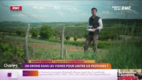 Un drone dans les vignes pour limiter les pesticides?