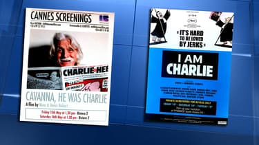 Les affiches des deux documentaires.